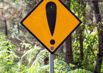 Fallout is Not Good for You…or Your Pet (Part One)