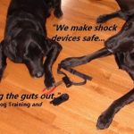 Fallout is Not Good for You…or Your Pet (Part Two)