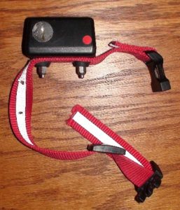 photograph of a shock collar
