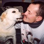 Yellow Lab licking a man's face